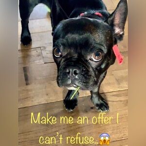 OFFERS WELCOME!!!🤗😍😃💕😎